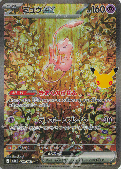 Pokemon LUCKY BAG 福袋 - 噴火龍/伊貝追逐會 BC#02
