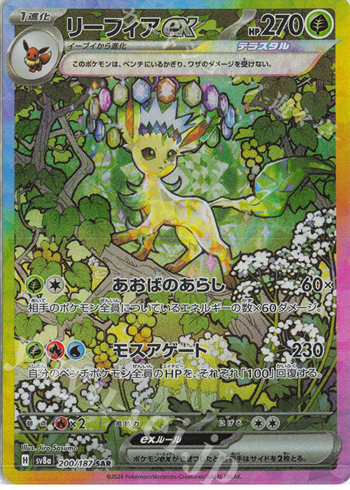 Pokemon LUCKY BAG 福袋 - 噴火龍/伊貝追逐會 BC#02