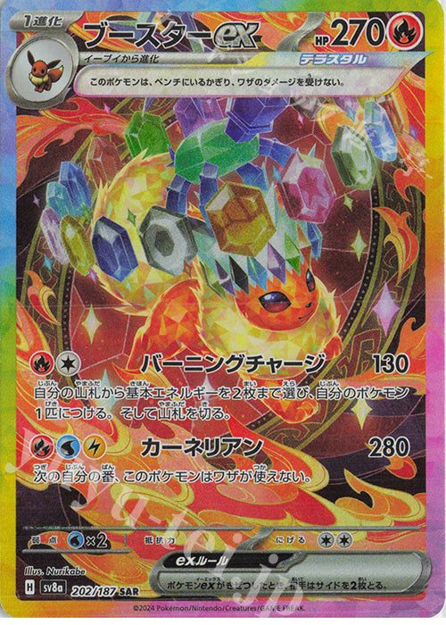 Pokemon LUCKY BAG 福袋 - 噴火龍/伊貝追逐會 BC#02