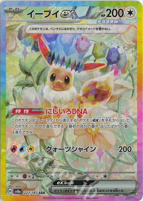 Pokemon LUCKY BAG 福袋 - 噴火龍/伊貝追逐會 BC#02
